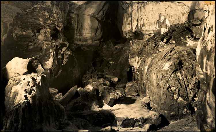 Boomslang The Bat Cave[Moore]